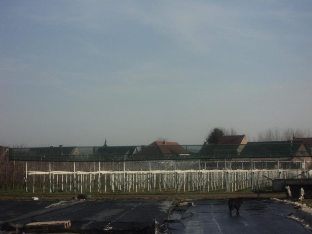 Juwel Fruithof Apartment Zepperen Cameră foto
